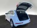 Audi Q5 55 TFSI e S line quattro S tronic LED Head-Up Weiß - thumbnail 10