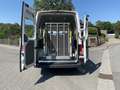 Volkswagen Crafter 35 MR,Hoch, Automatik,Rollstuhlumbau,Linearlift Weiß - thumbnail 6