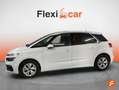 Citroen C4 BlueHDi 96KW (130CV) Feel Білий - thumbnail 4