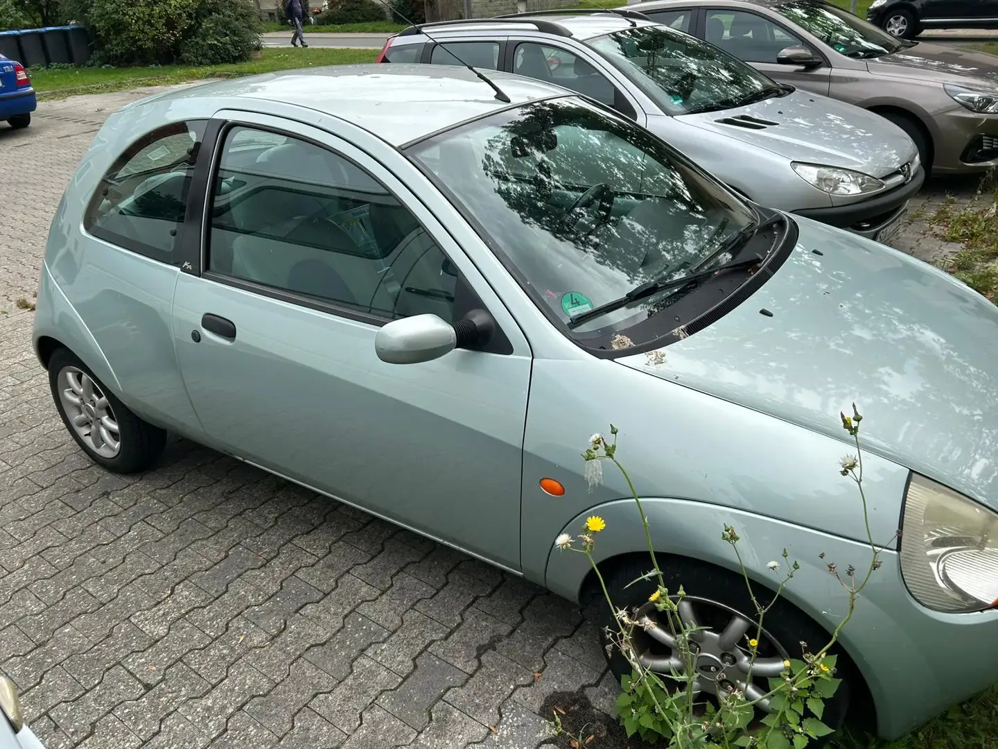 Ford Ka/Ka+ Ka Groen - 1