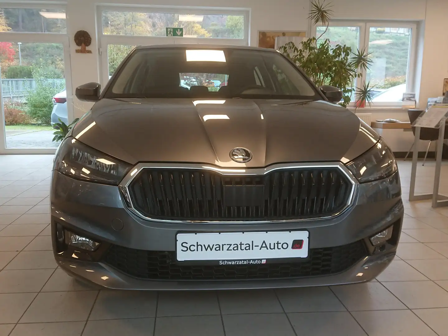 Skoda Fabia Selection 130Jahre Grau - 1