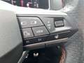 SEAT Tarraco 2.0 TSI DSG FR 4Drive Navi AHK Pano Grau - thumbnail 21