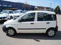 Fiat Panda 1.1 5-Türer Weiß - thumbnail 5