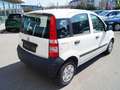 Fiat Panda 1.1 5-Türer Weiß - thumbnail 3