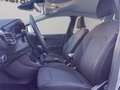 Ford Fiesta 5p 1.1 Titanium 75cv Gris - thumbnail 11
