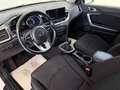 Kia Ceed / cee'd Ceed 1.6 CRDi Mild-Hybrid Silber Weiß - thumbnail 14