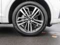 Audi Q5 55 TFSI e S line quattro S tronic Weiß - thumbnail 7