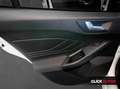 Ford Focus 1.0 Ecoboost 125CV MHEV ST-Line Weiß - thumbnail 13