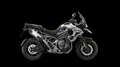 Triumph Tiger 1200 ALPINE EDITION Bílá - thumbnail 1