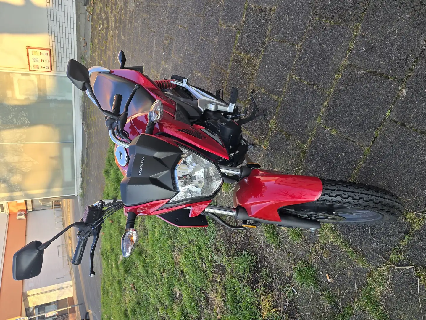 Honda CBF 125 Rot - 2