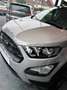 Ford EcoSport Ecosport 1.0 EcoBoost FWD Active (EU6d) Gris - thumbnail 1