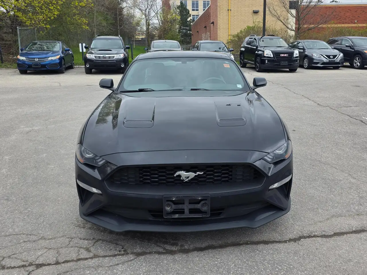 2019 Ford Mustang