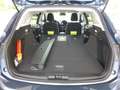 Ford Focus Turnier 1.0 EcoBoost MHEV Active X Auto Bleu - thumbnail 14