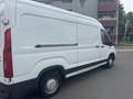 Maxus Deliver 9 Kasten L3H2 Blanc - thumbnail 7