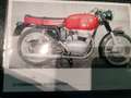 Gilera 300 B Rosso - thumbnail 7