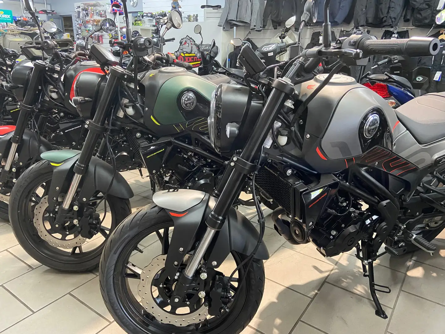 Benelli Leoncino Wit - 1