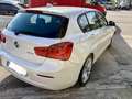 BMW 116 Serie 1 F/20-21 2015 116d Urban 5p auto - thumbnail 10