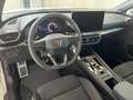 CUPRA Leon 1.5 eTSI DSG 150 PS Grau - thumbnail 9