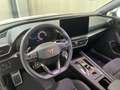 CUPRA Leon 1.5 eTSI DSG 150 PS Grau - thumbnail 12