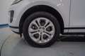 Land Rover Range Rover Evoque 2.0D MHEV S AWD Aut. 150 Blanc - thumbnail 10