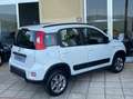 Fiat Panda 1.3 mjt 16v 4x4 S&S Euro 6B ELD+Clima+cerchi lega Bianco - thumbnail 7