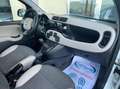 Fiat Panda 1.3 mjt 16v 4x4 S&S Euro 6B ELD+Clima+cerchi lega Bianco - thumbnail 12