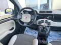 Fiat Panda 1.3 mjt 16v 4x4 S&S Euro 6B ELD+Clima+cerchi lega Bianco - thumbnail 14