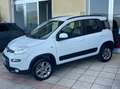 Fiat Panda 1.3 mjt 16v 4x4 S&S Euro 6B ELD+Clima+cerchi lega Wit - thumbnail 17