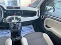 Fiat Panda 1.3 mjt 16v 4x4 S&S Euro 6B ELD+Clima+cerchi lega Bianco - thumbnail 15