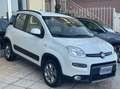 Fiat Panda 1.3 mjt 16v 4x4 S&S Euro 6B ELD+Clima+cerchi lega Bianco - thumbnail 2