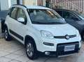 Fiat Panda 1.3 mjt 16v 4x4 S&S Euro 6B ELD+Clima+cerchi lega Wit - thumbnail 21