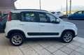 Fiat Panda 1.3 mjt 16v 4x4 S&S Euro 6B ELD+Clima+cerchi lega Bianco - thumbnail 6