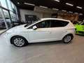 SEAT Leon Reference Weiß - thumbnail 11