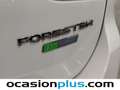 Subaru Forester 2.0i Hybrid Executive CVT Blanco - thumbnail 5