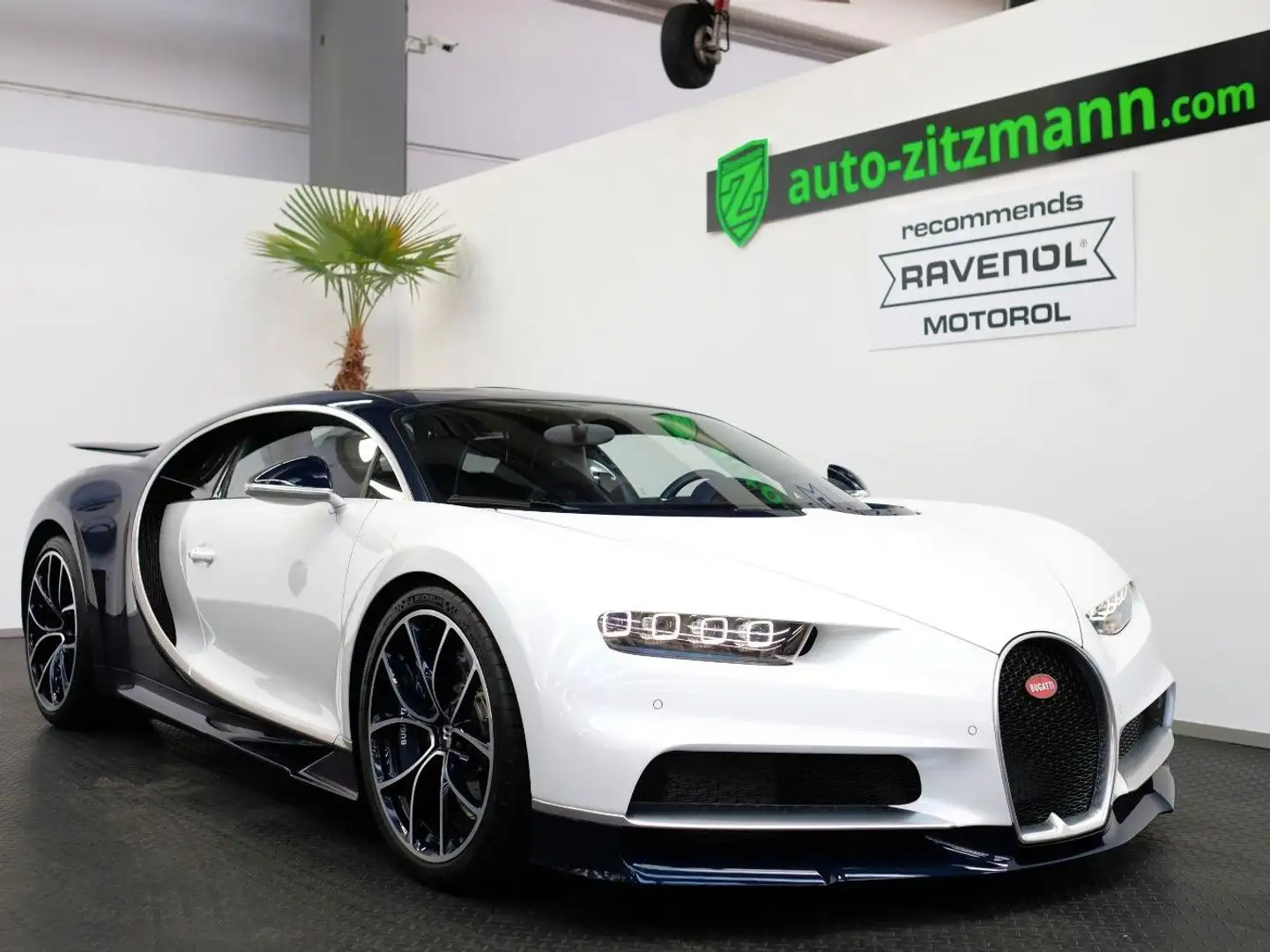 Bugatti Chiron /VISIBLE CARBON BLUE/SERVICE NEW/ Biały - 1