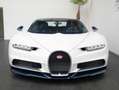 Bugatti Chiron /VISIBLE CARBON BLUE/SERVICE NEW/ Beyaz - thumbnail 3