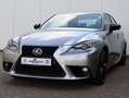Lexus IS 300 300h Sport Edition | Keyless | Stoelverwarming | T Grau - thumbnail 31