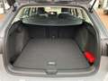 Volkswagen Golf VIII 1,5 eTSI DSG Ganzj.Reifen Head-Up Kamera Grau - thumbnail 14