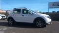 Dacia Sandero 1.5 Blue dCi Stepway Comfort 70kW Blanco - thumbnail 11