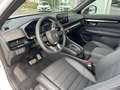 Honda CR-V 2.0 e:PHEV Advance Tech * MODELL 2024 * Plug In * Bílá - thumbnail 9