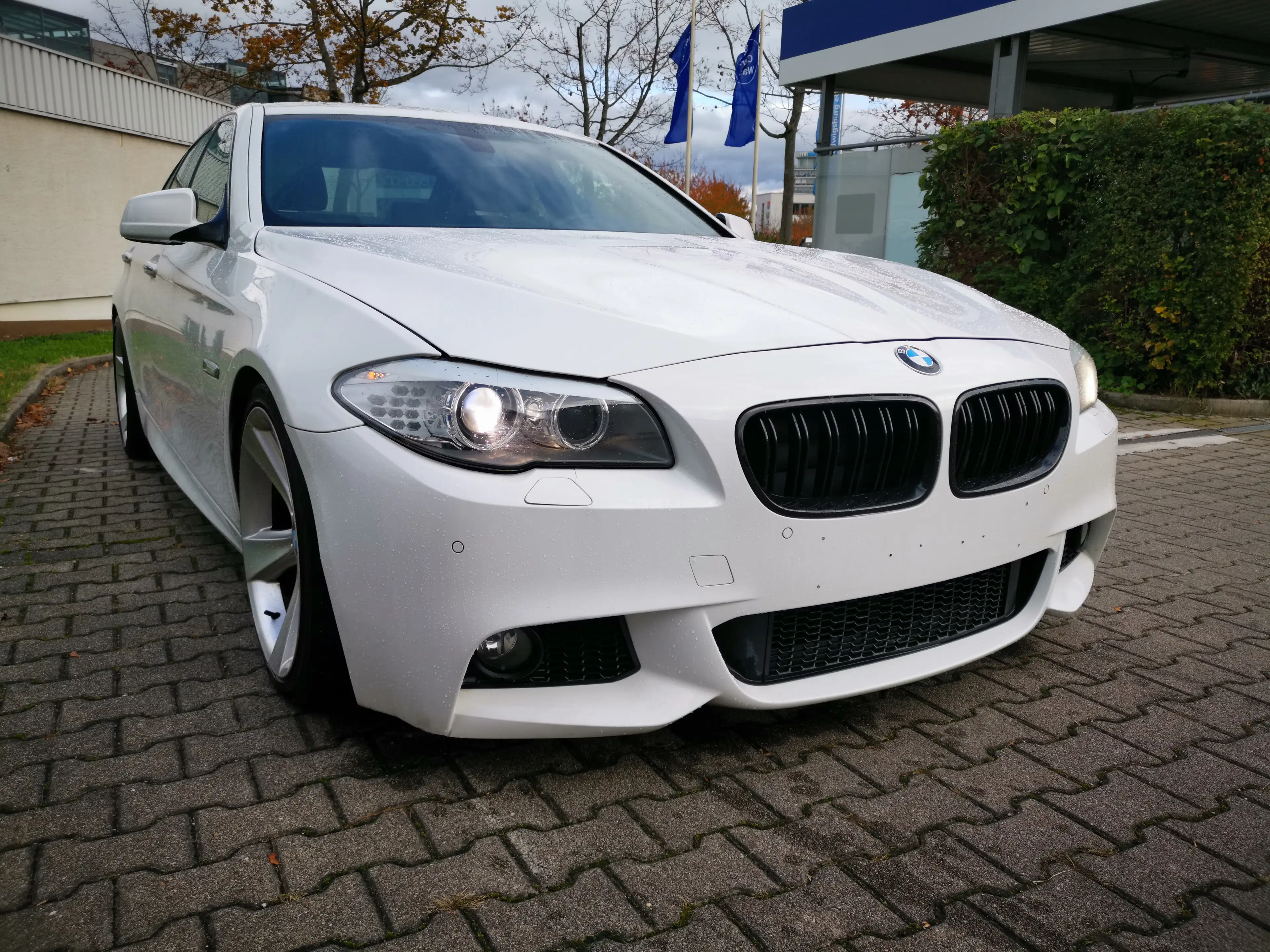 BMW 523 523i Sport-Aut.M Paket — photo 6