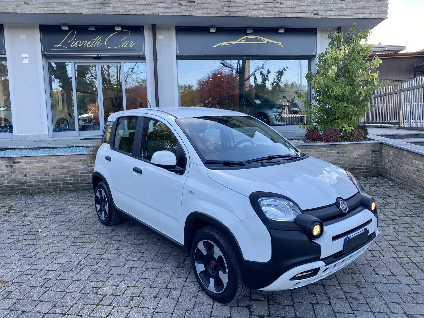 Fiat Panda Panda III Cross 1.0 firefly City Cross s HYBRID Bianco - 1