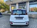 Fiat Panda Panda III Cross 1.0 firefly City Cross s HYBRID Bianco - thumbnail 5