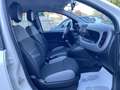 Fiat Panda Panda III Cross 1.0 firefly City Cross s HYBRID Bianco - thumbnail 10