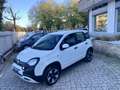 Fiat Panda Panda III Cross 1.0 firefly City Cross s HYBRID Bianco - thumbnail 3