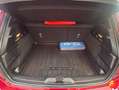 Ford Focus 1.0 Ecoboost ST Line 125 Burdeos - thumbnail 20