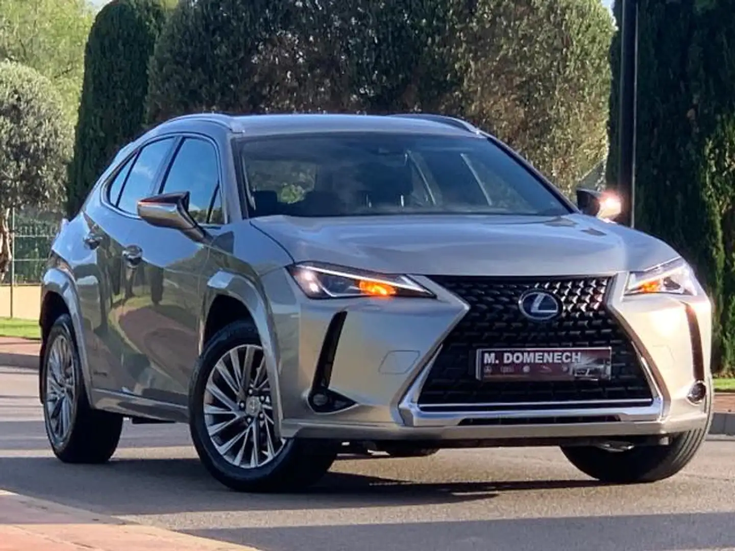 Lexus UX 250h 4x2 ECO Amarillo - 2
