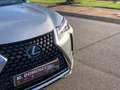 Lexus UX 250h 4x2 ECO Amarillo - thumbnail 3