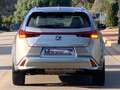Lexus UX 250h 4x2 ECO Amarillo - thumbnail 10