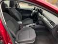 Ford Focus TURNIER TITANIUM 1.5ECOBLUE 120PS AUTOMATIK ACC.AH Rot - thumbnail 9